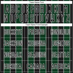 Uniform Green-White Line Black Jersey Soccer Sports Custom Sublimation Pinstripe Uniform Green-White Line Black Jersey Soccer Sports Custom Sublimation Pinstripe